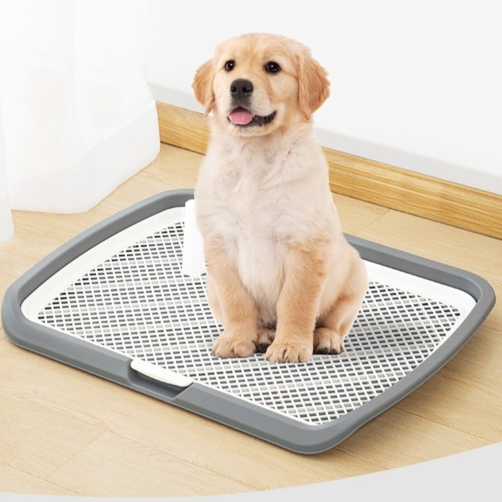 Splash-Proof Dog Training Toil - Sprinkler Splash Pad 评论和价格