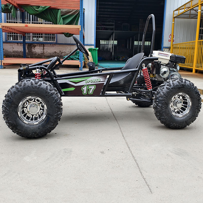 Factory Direct Professional Tr - Kids Outdoor Karting 评论和价格