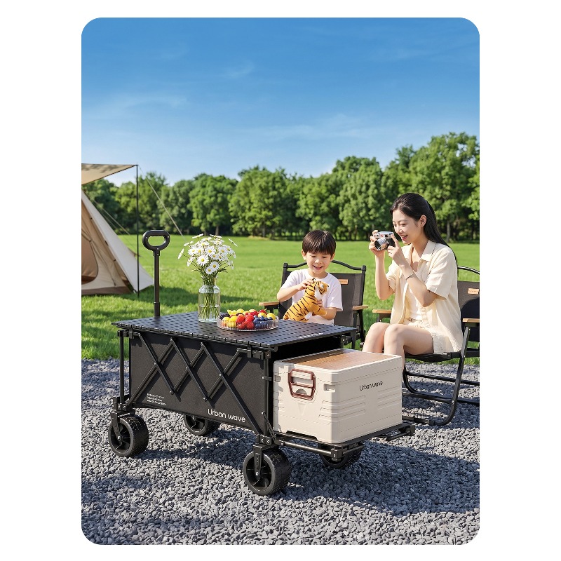Folding Camping Wagon Cart Out - Kids Outdoor Set 评论和价格
