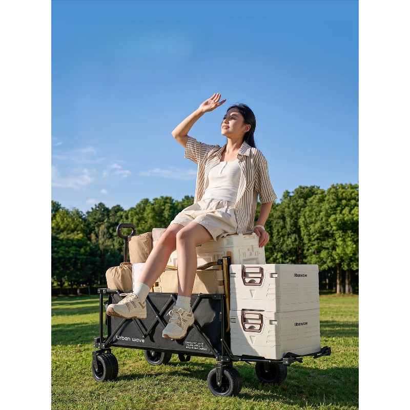 Folding Camping Wagon Cart Out - Kids Outdoor Set 评论和价格