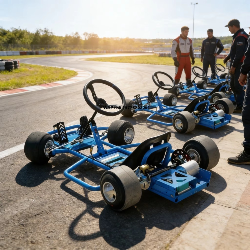 Electric Karting Car Fast Elec - Kids Outdoor Karting 评论和价格