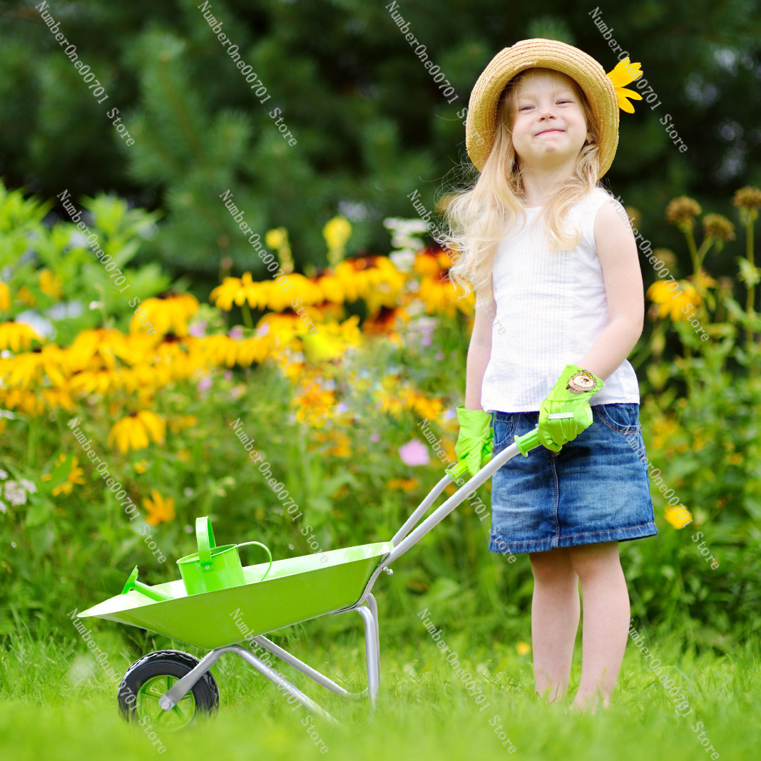 Kids Outdoor Wheelbarrow, Gree - Kids Outdoor Set 评论和价格