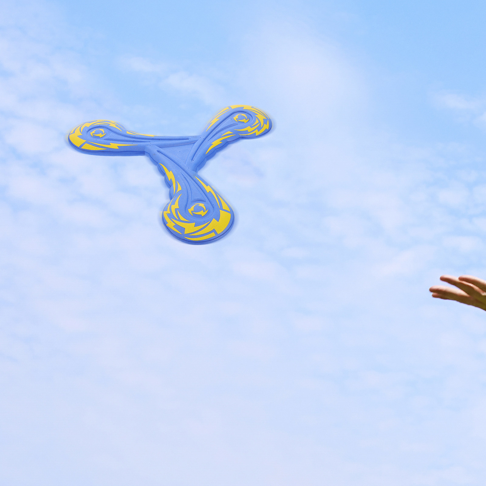Eva Boomerang for Kids Outdoor - Outdoor Kid Friendly 评论和价格